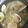 みきんどる's cooksnap of when they made はまぐりでパスタ.