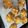 すずわんこ's cooksnap of when they made 花形くるみパン.