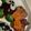 ほ！！！'s cooksnap of when they made 人参でハロウィンかぼちゃ.
