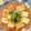 あーこ姐's cooksnap of when they made 優しい味！厚揚げのみぞれ煮(*^^*).