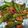 クック6DDPP8☆'s cooksnap of when they made しし唐とちくわのピリ辛甘味噌炒め♪.