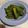 猫柱猫の呼吸's cooksnap of when they made ピーマン ししとうの常備菜.