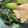 わんあみ's cooksnap of when they made 大和真菜（やまとまな）の煮びたし.