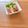 Etsu☆ko's cooksnap of when they made バジルチキンサラダ.