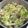 ★みーちゃんママ★'s cooksnap of when they made 【朝食・ランチ専用】♬便利な白菜スープ♬.