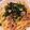 まきを。's cooksnap of when they made ランチに♫牛肉とゴボウのパスタ.