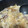 toshio39's cooksnap of when they made 薄切り大根と牛肉のすき焼き風煮.
