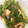 クックXI961T☆'s cooksnap of when they made 簡単うまうま！ピーマンとじゃこの炒めもの.