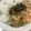 ｓａｙａーｓａｙａ's cooksnap of when they made 余った天かすで☆たぬき丼.