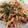 イクリン0195's cooksnap of when they made 和風 焼うどん.