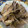くみこ美味しい's cooksnap of when they made 簡単！ナスと舞茸の味噌炒め煮！.
