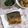 mmameco's cooksnap of when they made お弁当に魚を！ごはんすすむ鯖の味噌焼き.