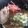 クック2H9MD0☆'s cooksnap of when they made 簡単♪棒ラーメンで！5分で豚骨ラーメン.