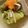 はなぴっち's cooksnap of when they made ロール白菜.