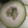 葉月優希's cooksnap of when they made 冬瓜の切り方（説明写真付き）.