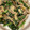 Kt♪'s cooksnap of when they made あと一品！舞茸とニラの卵とじ.