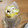 Ｃｏｏｋｉｅｓ's cooksnap of when they made もっちもちクレープ生地.