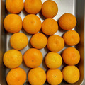島子☆'s cooksnap of when they made 置き方で簡単！みかん長持ちのコツ.