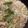 クック85T5IA☆'s cooksnap of when they made 簡単もんじゃ焼き.