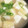 ブランシュkuu's cooksnap of when they made 京揚げと豆腐のお味噌汁.