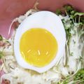Cony◎'s cooksnap of when they made とろうま❤プリプリ♫♬塩味たまご.