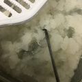 葉月優希's cooksnap of when they made 大根おろし★酢で保存も★使い切り1/4本.