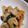 ＫＯＲＯ♪'s cooksnap of when they made 豚ナス味噌炒め.
