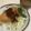 papikun's cooksnap of when they made ぴったり4人分・大根のお味噌汁.