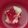 カクヨ's cooksnap of when they made ラズベリーソース.