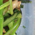 あかぷり's cooksnap of when they made アスパラ菜と鶏モモのごちそう炒め.