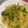 クック49L4Ho☆'s cooksnap of when they made 大根葉っぱのパスタ.