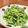 Superlittleboo's cooksnap of when they made ほろ苦ほの甘の美味しさ！☆春菊のサラダ.
