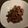 クック808TXY☆'s cooksnap of when they made 簡単！！砂肝のニンニク醤油炒め.