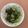 パピ次郎's cooksnap of when they made ひじきサラダ・胡麻ドレッシング♪.
