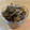 ケイコどす's cooksnap of when they made さつまいものつるの佃煮.