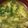 ヨシヨッシー's cooksnap of when they made ニラとなめこの中華スープ.