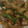 ヨシヨッシー's cooksnap of when they made 豚こまとピーマンのカレー炒め.