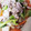 H．I．'s cooksnap of when they made 塩だれ絡むシャキシャキ野菜炒め.