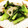かなりんココりん's cooksnap of when they made 蓮根と小松菜の炒め物.