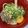 ☆★あーこ★☆'s cooksnap of when they made コク旨！キムマヨそぼろ釜玉うどん.