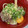 ☆★あーこ★☆'s cooksnap of when they made コク旨！キムマヨそぼろ釜玉うどん.