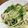 ぽんこぽこり's cooksnap of when they made 鶏肉と水菜の塩ダレ炒め.