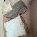 クック9PFY7S☆'s cooksnap of when they made おからたっぷり！ＨＢでおからパン.