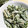 kikiyuuki's cooksnap of when they made 青ネギ大量消費！マヨラー和え.