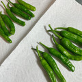 まこさんど's cooksnap of when they made ししとうの保存(冷蔵がオススメ！).