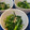 やよい・M's cooksnap of when they made のらぼう菜のからし和え.