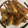 ＊そらはな＊'s cooksnap of when they made 鯵の下処理が早くて簡単！.