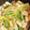 ブランシュkuu's cooksnap of when they made ※白菜と薄揚げの煮物.