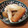 くまぴこ222's cooksnap of when they made 圧力鍋におまかせ！大根と手羽先の旨煮.