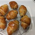 360method's cooksnap of when they made 感激手こねバターロール⭐レーズンクルミ.